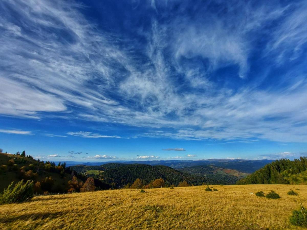 Skrivena Berane