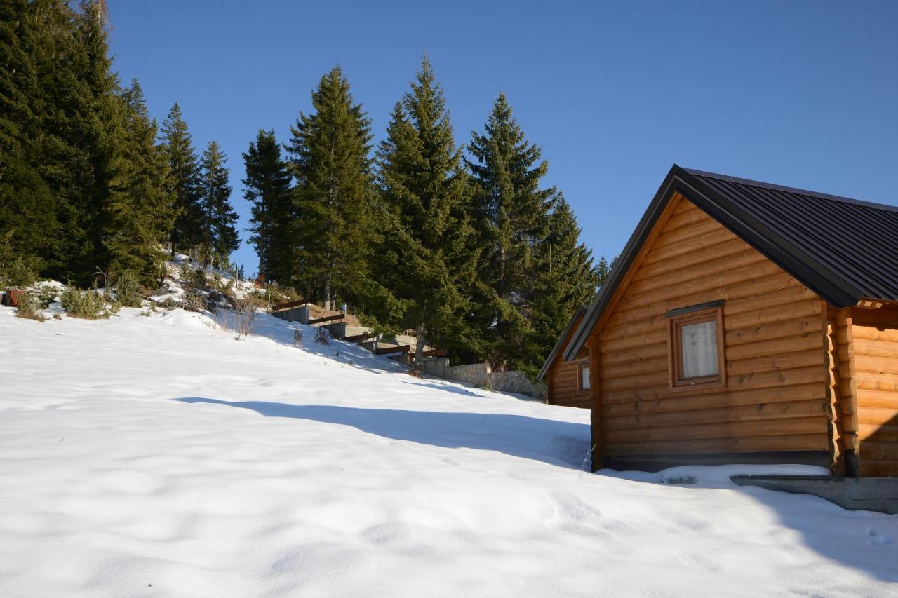 Skrivena Berane