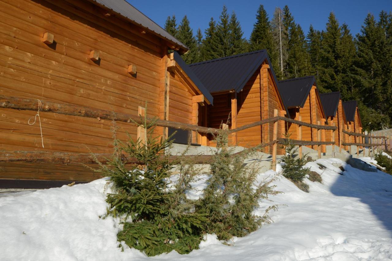 Skrivena
